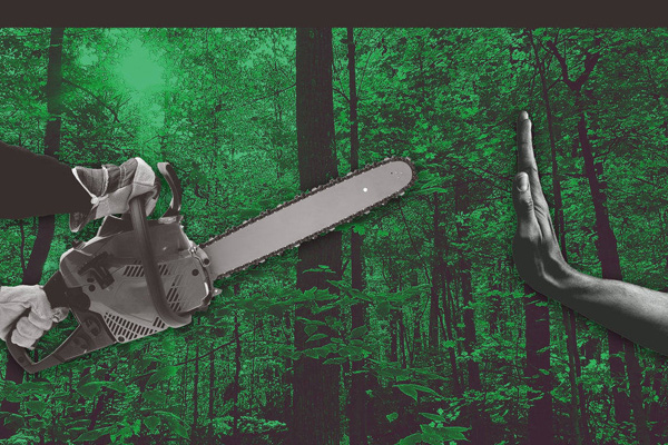 On the left, two gloved hands holding up a chainsaw. On the right, an outstretched arm with the hand raised in the 'stop' gesture. The background is a dark green forest. Photo Illustration by Luis G. Rendon/The Daily Beast/Getty
